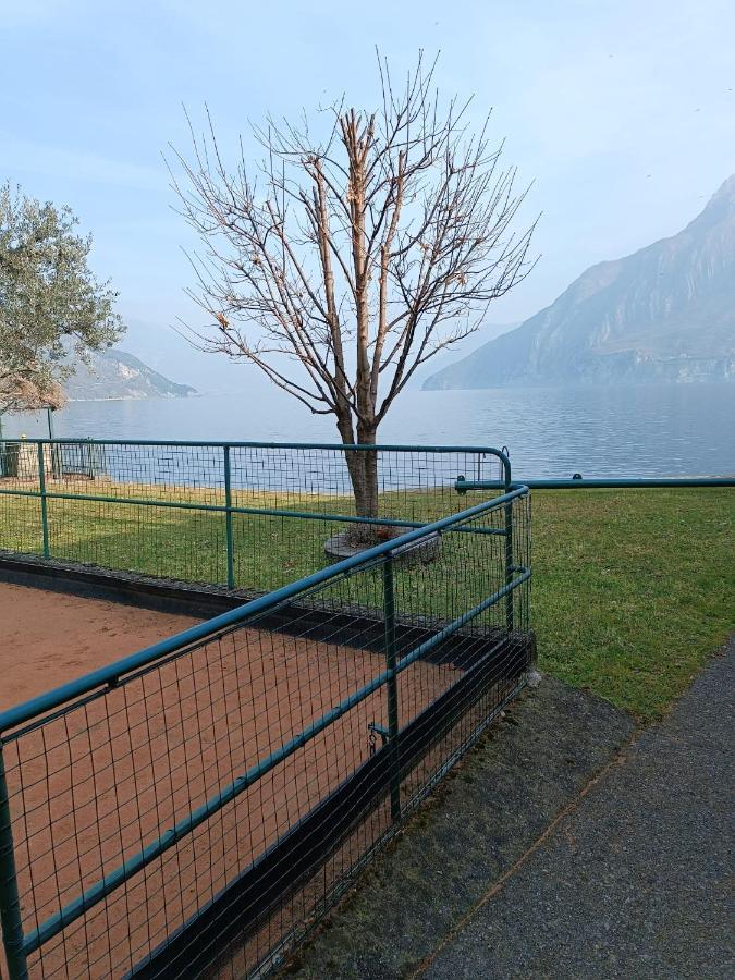Studio Zu - Lakeside Apartment Riva di Solto Exterior foto
